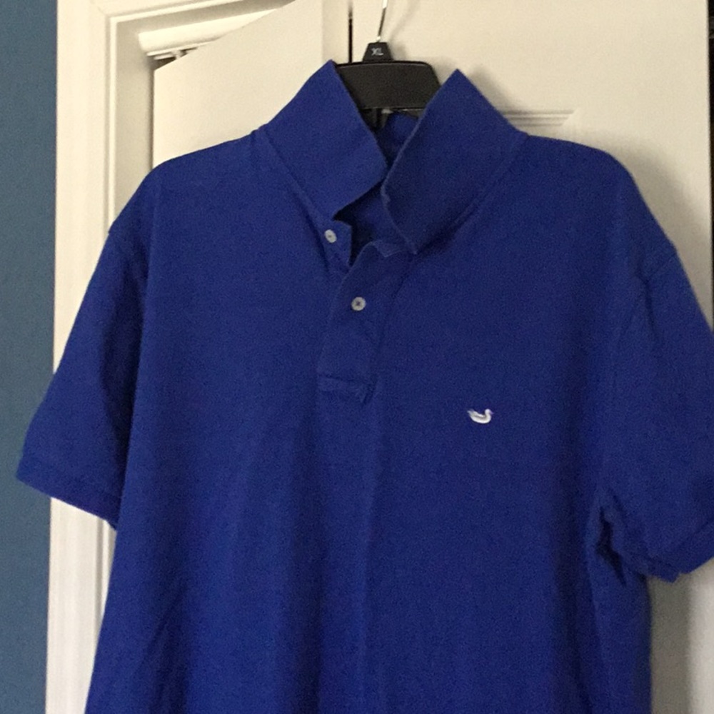 Southern Marsh Polo